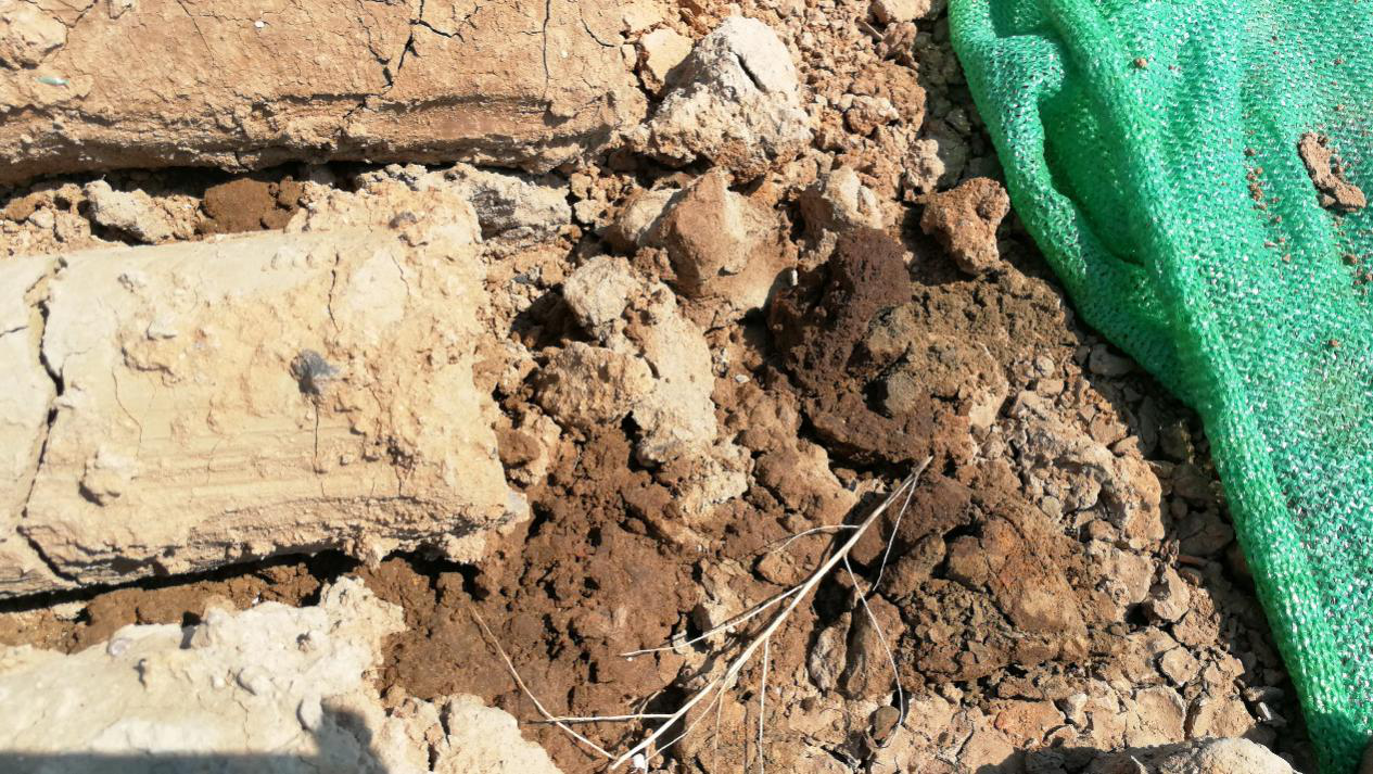 图片13.png 图片13.png